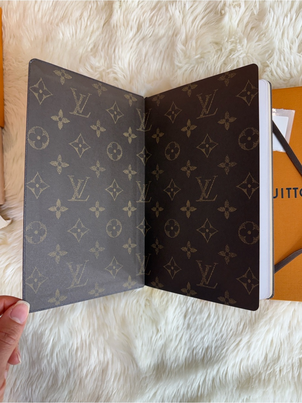 Louis Vuitton Limited Holiday Christmas Mini Pochette & Notebook Vivienne Paris - Picture 14 of 16